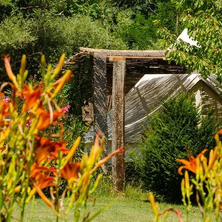 Hotel Ok Koral Nature Holidays Virpazar Exteriér fotografie